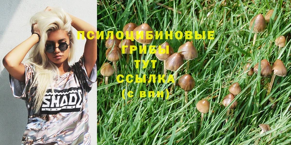 прущие крисы Богородск