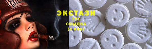стаф Богородицк